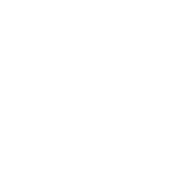 Dental Implants X-Ray